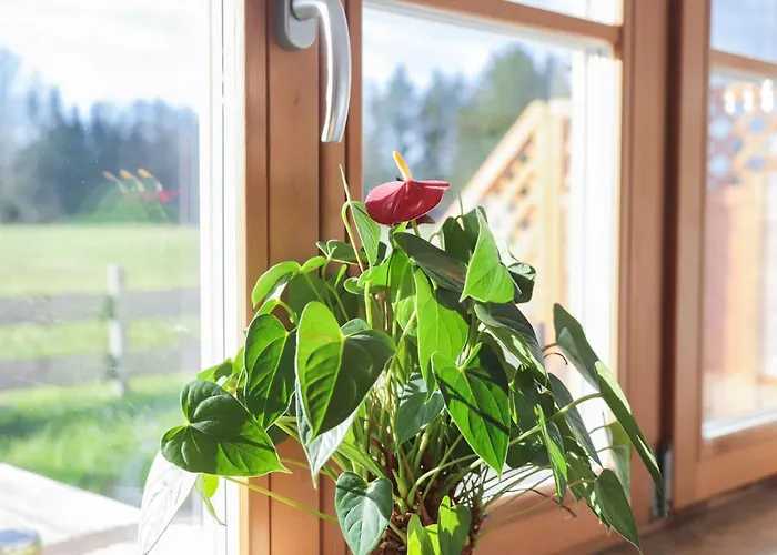 Bergblick Appartement
